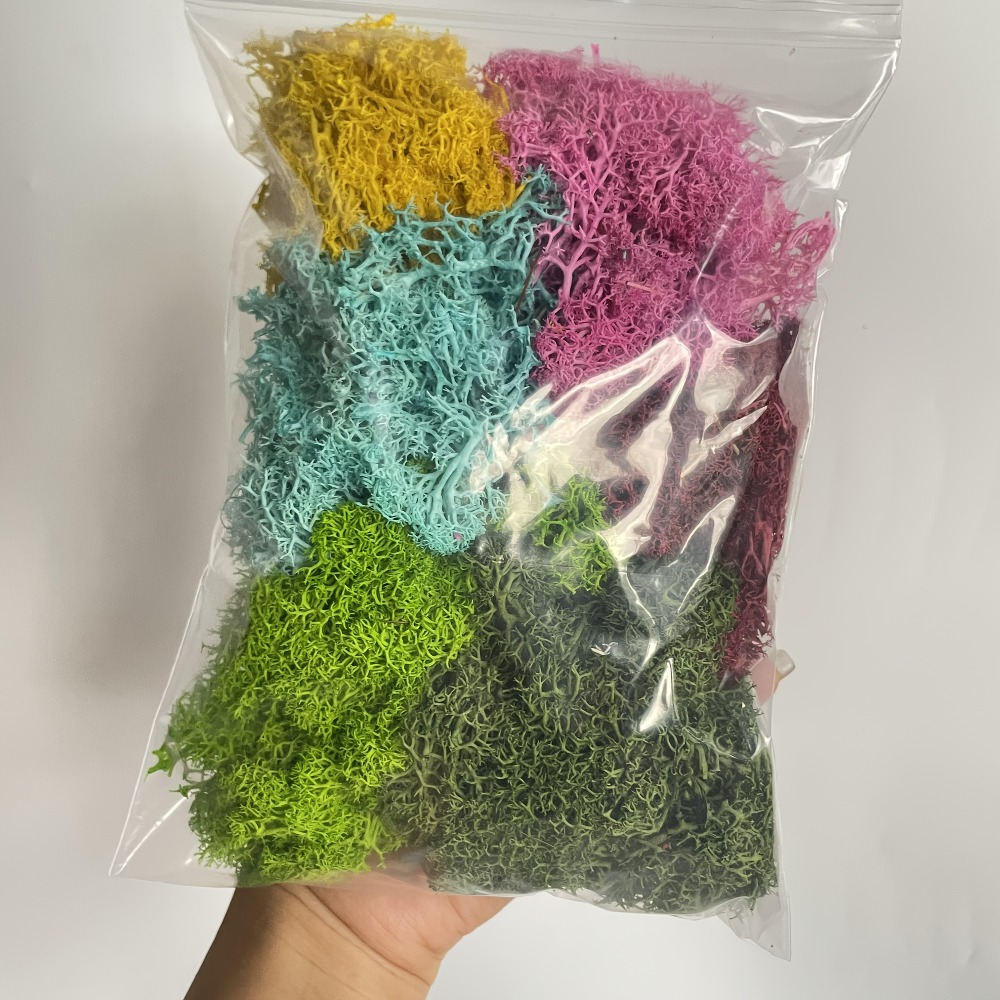 Sphagnum Moss Dry - Levendig kunstmatig mospakket voor glaslandschap ontwerp