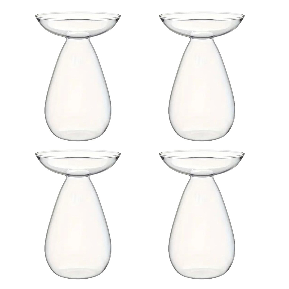 Propagation Station Vase - Avocado Zaad Starter Vaas Transparante Plant