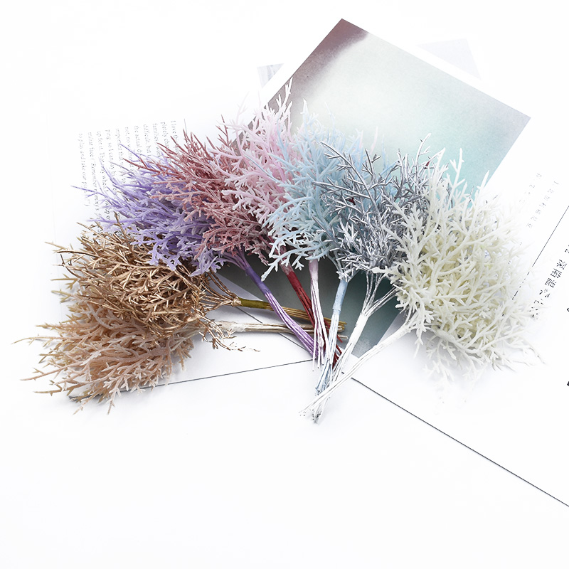 10 stks Veelkleurige Kerstboom - Sphagnum Moss Dry recensie en prijs