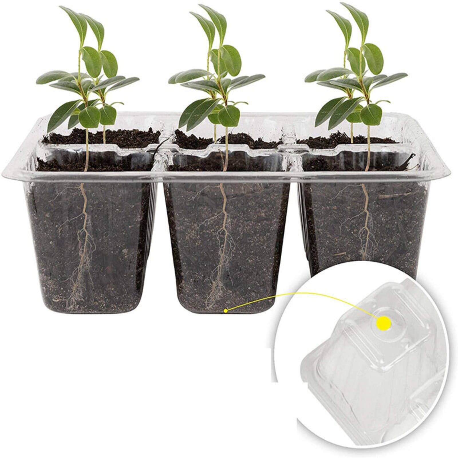 12-delige kiembak met transpar - Humidity Dome Kit recensie en prijs