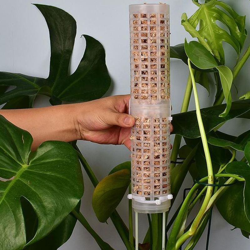 Sphagnummosstok voor orchideeë - Sphagnum Moss Dry recensie en prijs