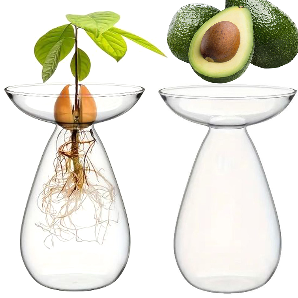 Avocado Zaad Starter Vaas Tran - Propagation Station Vase recensie en prijs