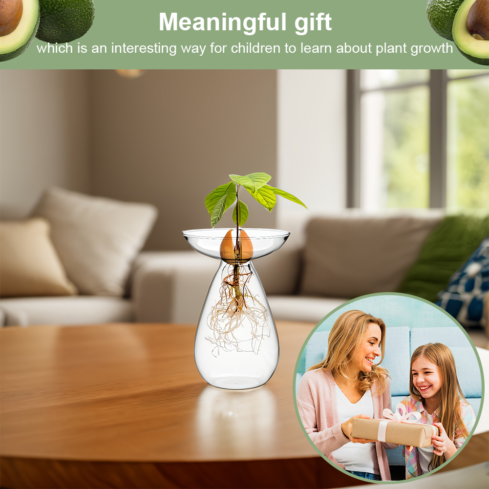 Avocado Zaad Starter Vaas Tran - Propagation Station Vase recensie en prijs