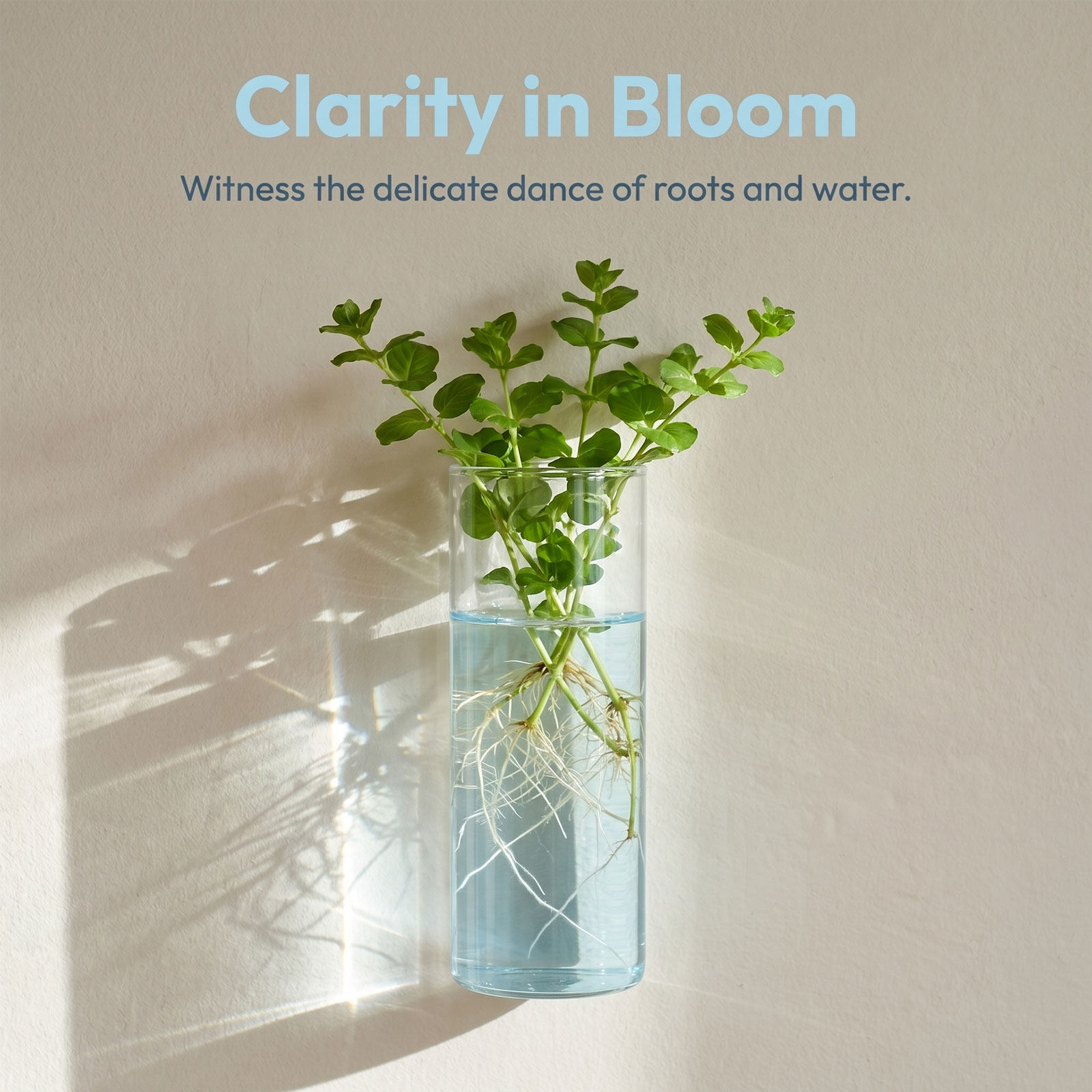 5-delige cilindrische glazen w - Propagation Station Vase recensie en prijs